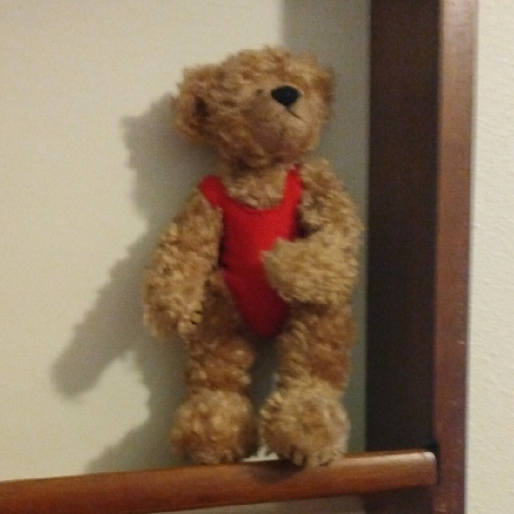 Tan Teddy Bear